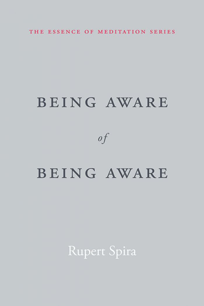 Being Aware Of Being Aware