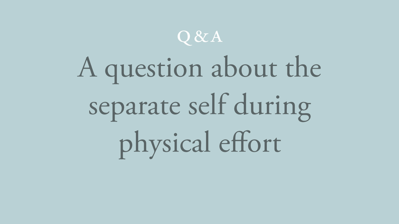 132-a-question-about-the-separate-self-during-physical-effort.jpg