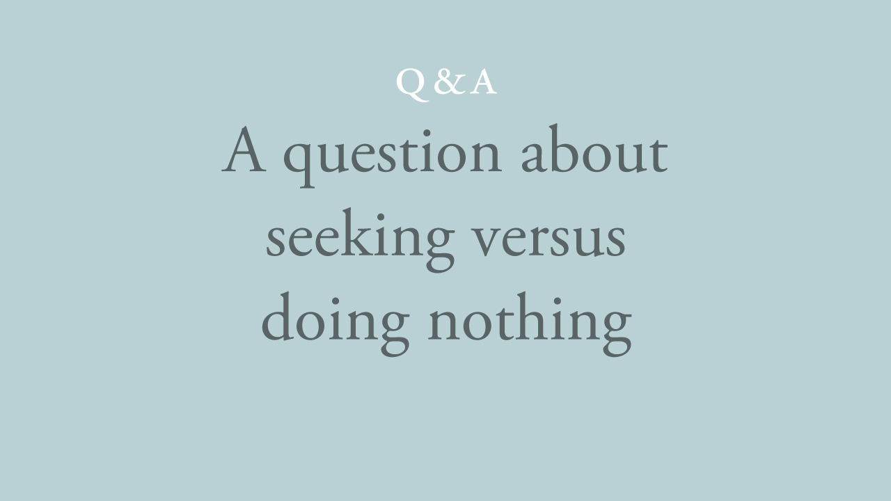 77-a-question-about-seeking-versus-doing-nothin.jpg