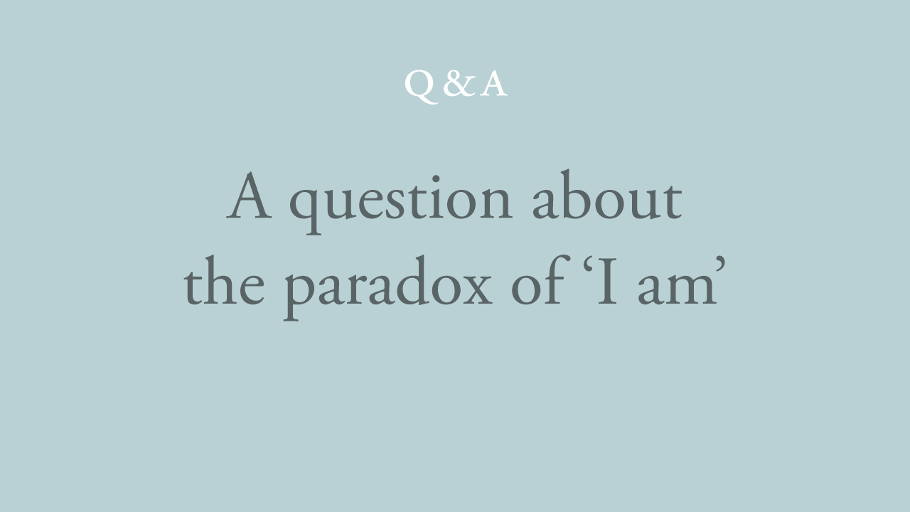 24-a-question-about-the-paradox-of-'I-am'.jpg