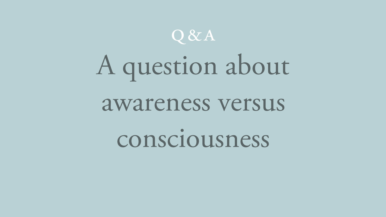 22-a-question-about-awareness-versus-consciousness.jpg