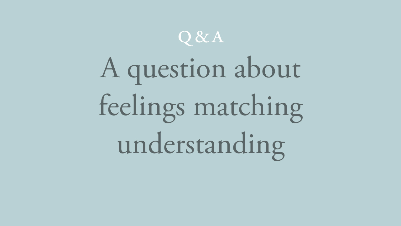 17-a-question-about-feelings-matching-understanding.jpg