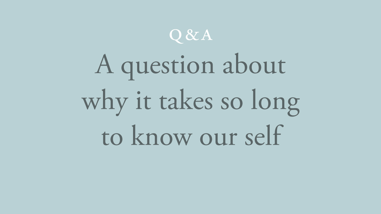 212-a-question-about-why-it-takes-so-long-to-know-our-self.jpg